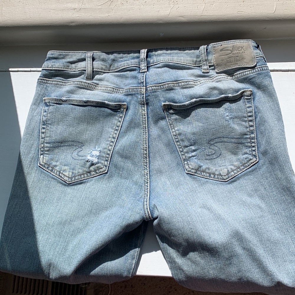 Silver Izzy - image 4